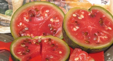 Lahodný babiččin recept, jak osolit melouny v sudu na zimu